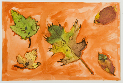 Leaves