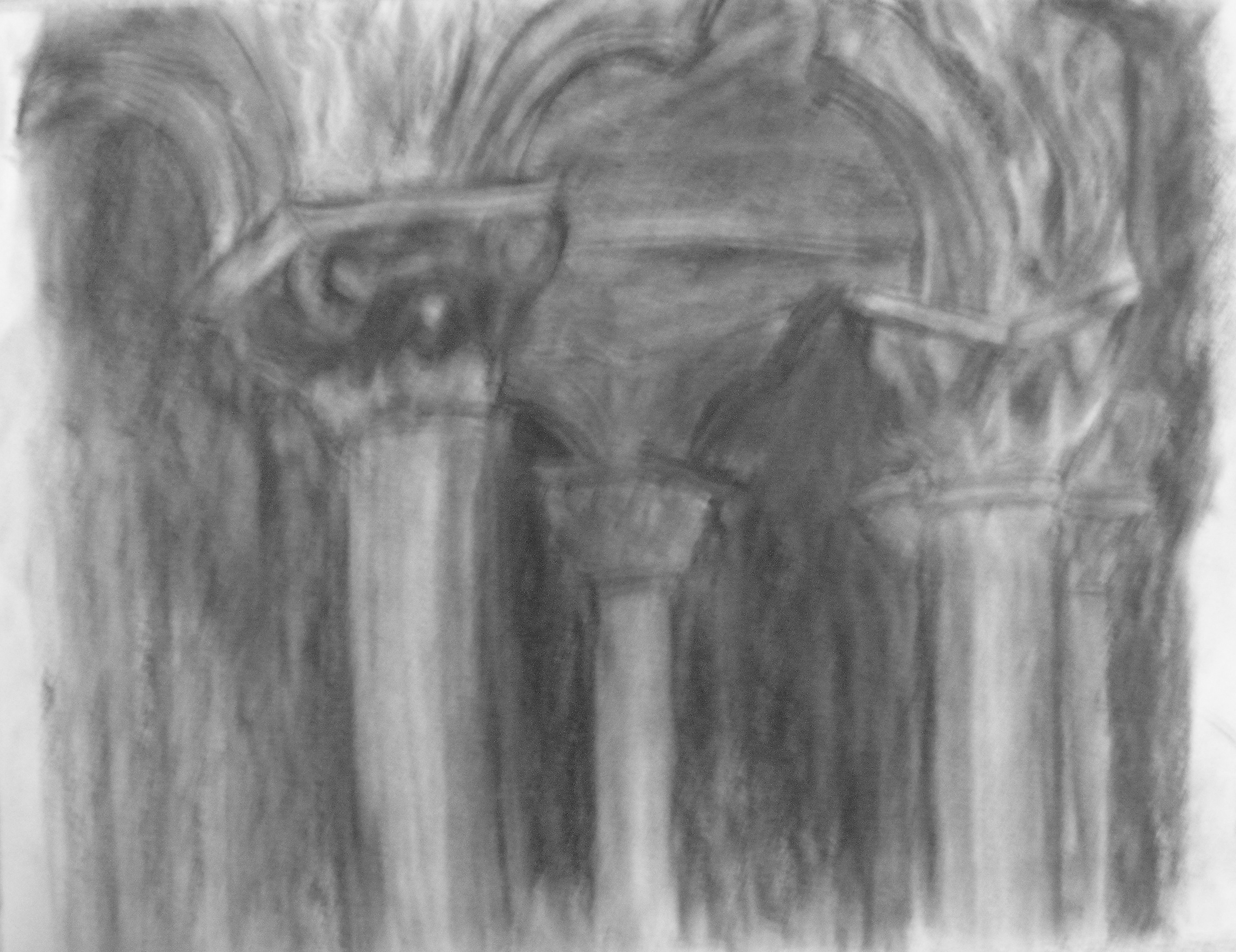Carnegie Museum: Hall of Architecture Drawing II